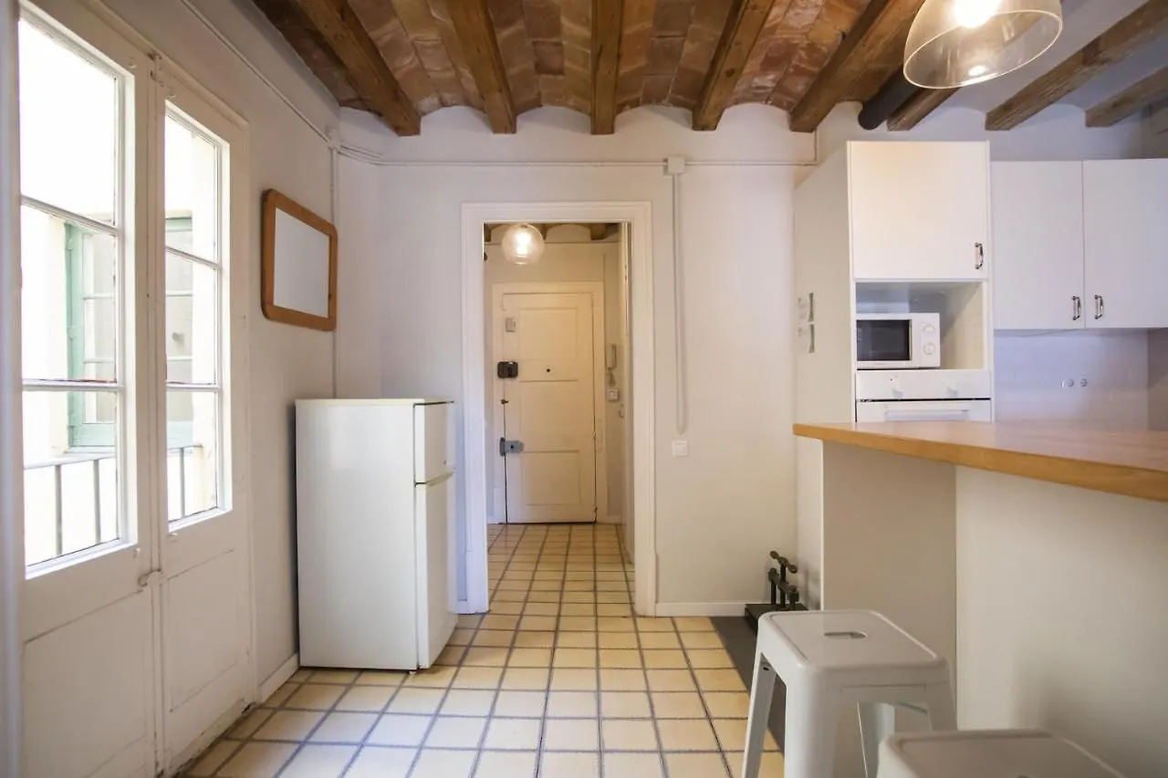 41Cob1019- Charming Rustic Apartment Barcelona Španělsko